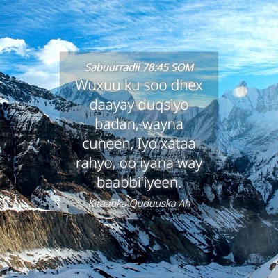 Picture 04 - Sabuurradii 78:45 SOM - Wuxuu ku soo dhex daayay duqsiyo badan, wayna - Bible Verse Picture