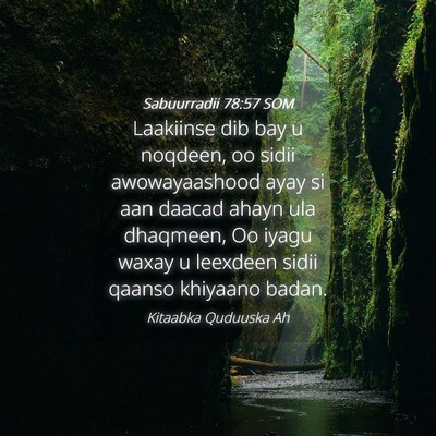 Picture 04 - Sabuurradii 78:57 SOM - Laakiinse dib bay u noqdeen, oo sidii - Bible Verse Picture