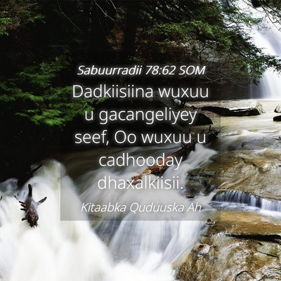 Picture 04 - Sabuurradii 78:62 SOM - Dadkiisiina wuxuu u gacangeliyey seef, Oo wuxuu u - Bible Verse Picture