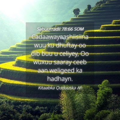 Picture 04 - Sabuurradii 78:66 SOM - Cadaawayaashiisiina wuu ku dhuftay oo dib buu u - Bible Verse Picture