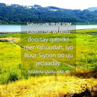 Picture 04 - Sabuurradii 78:68 SOM - Laakiinse wuxuu doortay qabiilkii reer Yahuudah, - Bible Verse Picture
