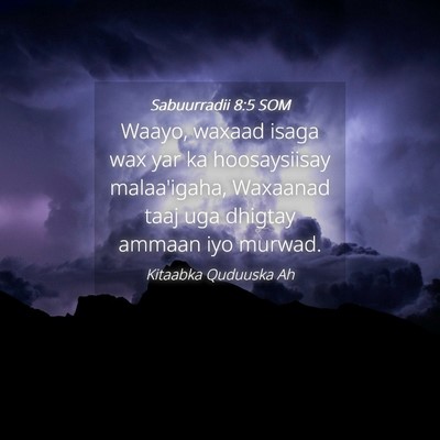 Picture 04 - Sabuurradii 8:5 SOM - Waayo, waxaad isaga wax yar ka hoosaysiisay - Bible Verse Picture