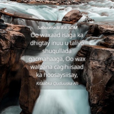 Picture 04 - Sabuurradii 8:6 SOM - Oo waxaad isaga ka dhigtay inuu u taliyo - Bible Verse Picture