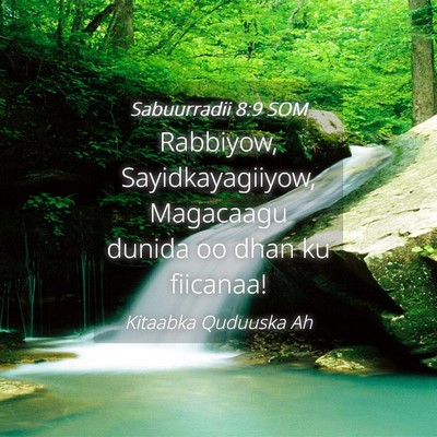 Picture 04 - Sabuurradii 8:9 SOM - Rabbiyow, Sayidkayagiiyow, Magacaagu dunida oo - Bible Verse Picture