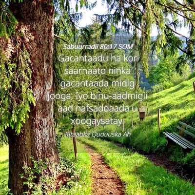 Picture 04 - Sabuurradii 80:17 SOM - Gacantaadu ha kor saarnaato ninka gacantaada - Bible Verse Picture