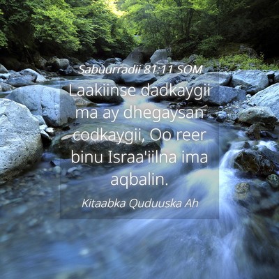 Picture 04 - Sabuurradii 81:11 SOM - Laakiinse dadkaygii ma ay dhegaysan codkaygii, Oo - Bible Verse Picture