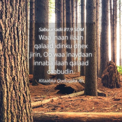 Picture 04 - Sabuurradii 81:9 SOM - Waa inaan ilaah qalaad idinku dhex jirin, Oo waa - Bible Verse Picture