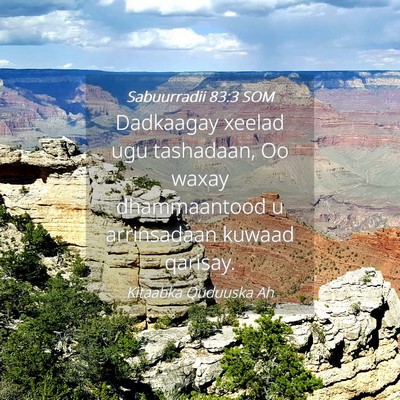 Picture 04 - Sabuurradii 83:3 SOM - Dadkaagay xeelad ugu tashadaan, Oo waxay - Bible Verse Picture