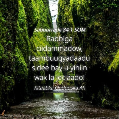 Picture 04 - Sabuurradii 84:1 SOM - Rabbiga ciidammadow, taambuugyadaadu sidee bay u - Bible Verse Picture