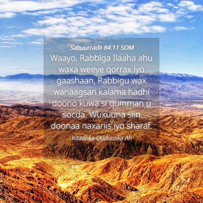 Picture 04 - Sabuurradii 84:11 SOM - Waayo, Rabbiga Ilaaha ahu waxa weeye qorrax iyo - Bible Verse Picture
