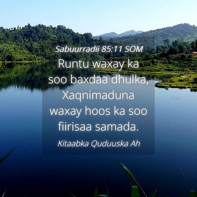 Picture 04 - Sabuurradii 85:11 SOM - Runtu waxay ka soo baxdaa dhulka, Xaqnimaduna - Bible Verse Picture