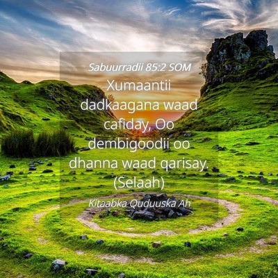 Picture 04 - Sabuurradii 85:2 SOM - Xumaantii dadkaagana waad cafiday, Oo dembigoodii - Bible Verse Picture