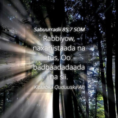 Picture 04 - Sabuurradii 85:7 SOM - Rabbiyow, naxariistaada na tus, Oo badbaadadaada - Bible Verse Picture