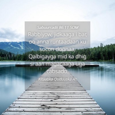 Picture 04 - Sabuurradii 86:11 SOM - Rabbiyow, jidkaaga i bar, oo anna runtaadaan ku - Bible Verse Picture