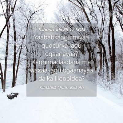 Picture 04 - Sabuurradii 88:12 SOM - Yaababkaaga miyaa gudcurka lagu ogaanayaa? - Bible Verse Picture