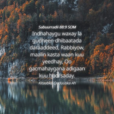 Picture 04 - Sabuurradii 88:9 SOM - Indhahaygu waxay la gudheen dhibaatada - Bible Verse Picture