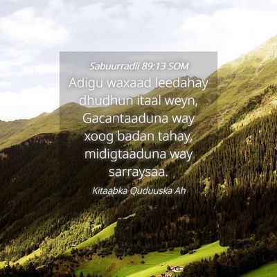 Picture 04 - Sabuurradii 89:13 SOM - Adigu waxaad leedahay dhudhun itaal weyn, - Bible Verse Picture