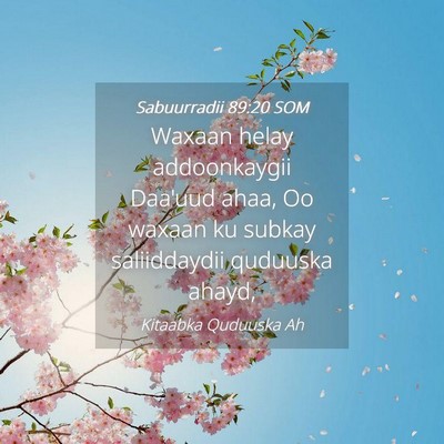 Picture 04 - Sabuurradii 89:20 SOM - Waxaan helay addoonkaygii Daa'uud ahaa, Oo waxaan - Bible Verse Picture