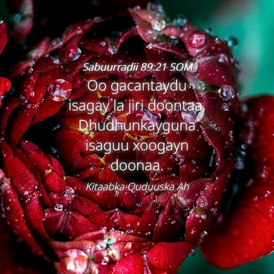 Picture 04 - Sabuurradii 89:21 SOM - Oo gacantaydu isagay la jiri doontaa, - Bible Verse Picture