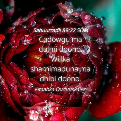 Picture 04 - Sabuurradii 89:22 SOM - Cadowgu ma dulmi doono, Wiilka sharnimaduna ma - Bible Verse Picture