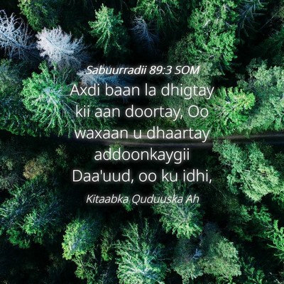 Picture 04 - Sabuurradii 89:3 SOM - Axdi baan la dhigtay kii aan doortay, Oo waxaan u - Bible Verse Picture