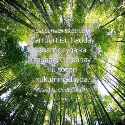 Picture 04 - Sabuurradii 89:30 SOM - Carruurtiisu hadday sharcigayga ka tagaan, Oo - Bible Verse Picture
