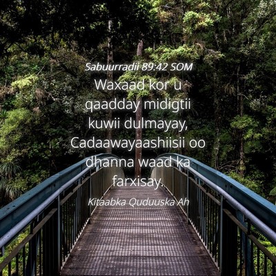 Picture 04 - Sabuurradii 89:42 SOM - Waxaad kor u qaadday midigtii kuwii dulmayay, - Bible Verse Picture
