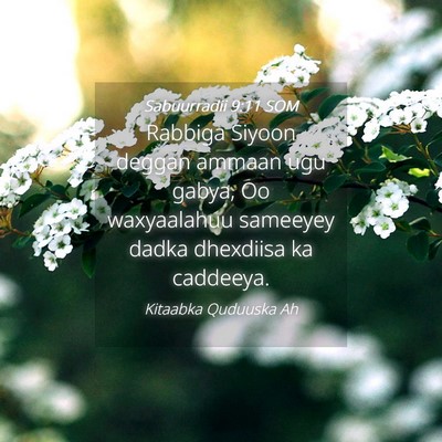 Picture 04 - Sabuurradii 9:11 SOM - Rabbiga Siyoon deggan ammaan ugu gabya, Oo - Bible Verse Picture