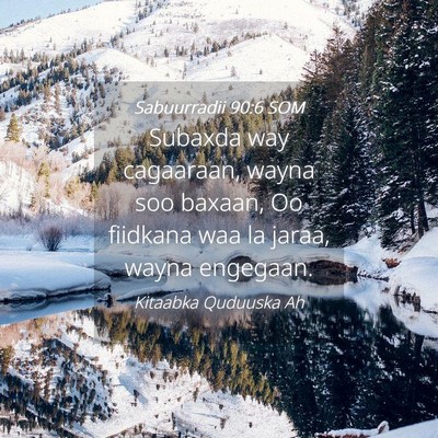 Picture 04 - Sabuurradii 90:6 SOM - Subaxda way cagaaraan, wayna soo baxaan, Oo - Bible Verse Picture