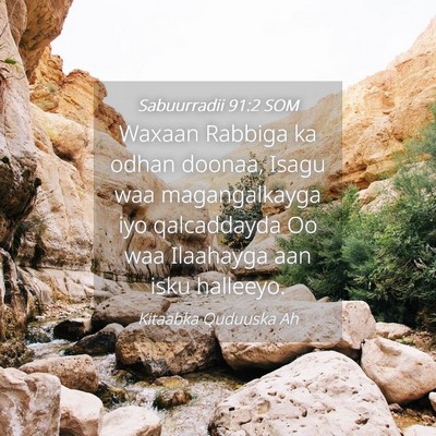 Picture 04 - Sabuurradii 91:2 SOM - Waxaan Rabbiga ka odhan doonaa, Isagu waa - Bible Verse Picture