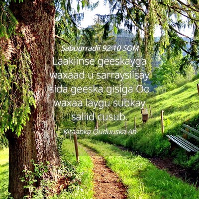 Picture 04 - Sabuurradii 92:10 SOM - Laakiinse geeskayga waxaad u sarraysiisay sida - Bible Verse Picture