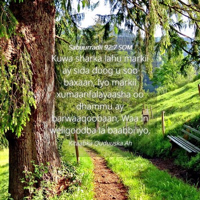 Picture 04 - Sabuurradii 92:7 SOM - Kuwa sharka lahu markii ay sida doog u soo - Bible Verse Picture
