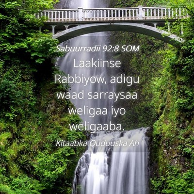 Picture 04 - Sabuurradii 92:8 SOM - Laakiinse Rabbiyow, adigu waad sarraysaa weligaa - Bible Verse Picture