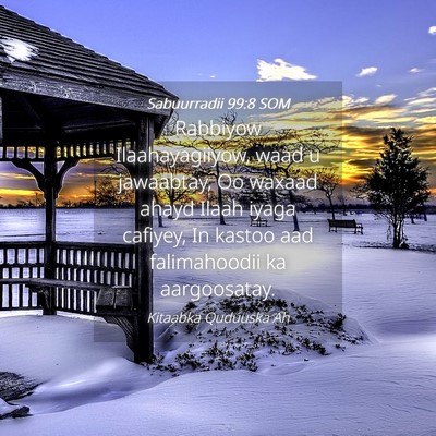 Picture 04 - Sabuurradii 99:8 SOM - Rabbiyow Ilaahayagiiyow, waad u jawaabtay, Oo - Bible Verse Picture