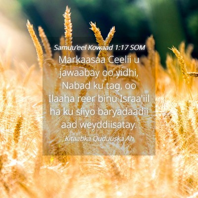 Picture 04 - Samuu'eel Kowaad 1:17 SOM - Markaasaa Ceelii u jawaabay oo yidhi, Nabad ku - Bible Verse Picture