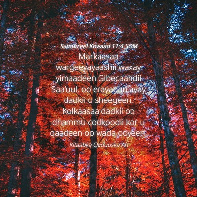 Picture 04 - Samuu'eel Kowaad 11:4 SOM - Markaasaa wargeeyayaashii waxay yimaadeen - Bible Verse Picture