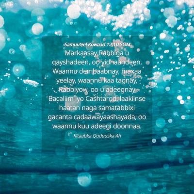 Picture 04 - Samuu'eel Kowaad 12:10 SOM - Markaasay Rabbiga u qayshadeen, oo yidhaahdeen, - Bible Verse Picture