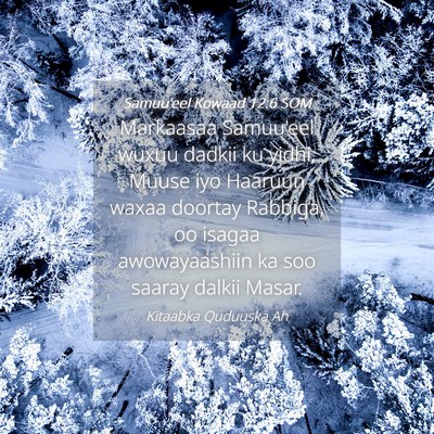 Picture 04 - Samuu'eel Kowaad 12:6 SOM - Markaasaa Samuu'eel wuxuu dadkii ku yidhi, Muuse - Bible Verse Picture