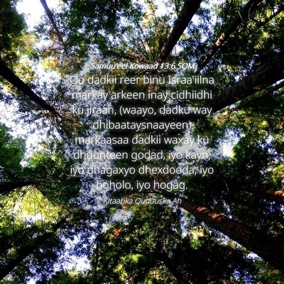 Picture 04 - Samuu'eel Kowaad 13:6 SOM - Oo dadkii reer binu Israa'iilna markay arkeen - Bible Verse Picture