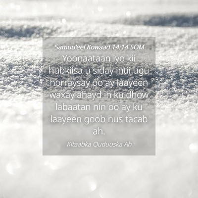 Picture 04 - Samuu'eel Kowaad 14:14 SOM - Yoonaataan iyo kii hubkiisa u siday intii ugu - Bible Verse Picture