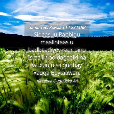 Picture 04 - Samuu'eel Kowaad 14:23 SOM - Sidaasuu Rabbigu maalintaas u badbaadiyey reer - Bible Verse Picture