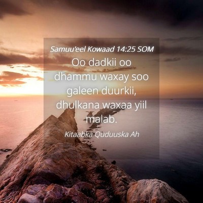 Picture 04 - Samuu'eel Kowaad 14:25 SOM - Oo dadkii oo dhammu waxay soo galeen duurkii, - Bible Verse Picture
