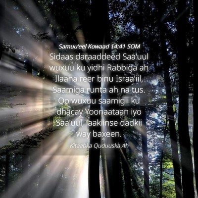 Picture 04 - Samuu'eel Kowaad 14:41 SOM - Sidaas daraaddeed Saa'uul wuxuu ku yidhi Rabbiga - Bible Verse Picture