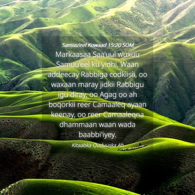 Picture 04 - Samuu'eel Kowaad 15:20 SOM - Markaasaa Saa'uul wuxuu Samuu'eel ku yidhi, Waan - Bible Verse Picture