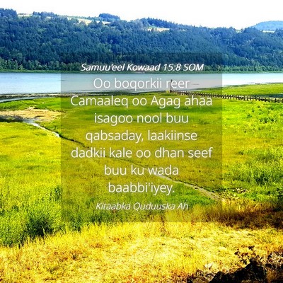 Picture 04 - Samuu'eel Kowaad 15:8 SOM - Oo boqorkii reer Camaaleq oo Agag ahaa isagoo - Bible Verse Picture