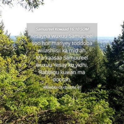 Picture 04 - Samuu'eel Kowaad 16:10 SOM - Yesayna wuxuu Samuu'eel soo hor mariyey toddoba - Bible Verse Picture