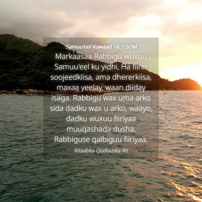 Picture 04 - Samuu'eel Kowaad 16:7 SOM - Markaasaa Rabbigu wuxuu Samuu'eel ku yidhi, Ha - Bible Verse Picture