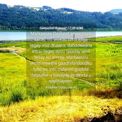Picture 04 - Samuu'eel Kowaad 17:20 SOM - Markaasaa Daa'uud aroor hore kacay, oo wuxuu - Bible Verse Picture
