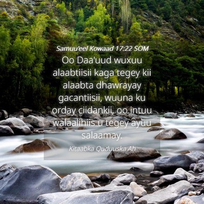 Picture 04 - Samuu'eel Kowaad 17:22 SOM - Oo Daa'uud wuxuu alaabtiisii kaga tegey kii - Bible Verse Picture