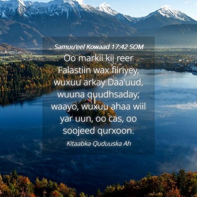 Picture 04 - Samuu'eel Kowaad 17:42 SOM - Oo markii kii reer Falastiin wax fiiriyey, wuxuu - Bible Verse Picture